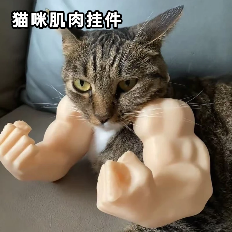跨境 Cat muscle arm decoration 猫咪肌肉手臂装饰