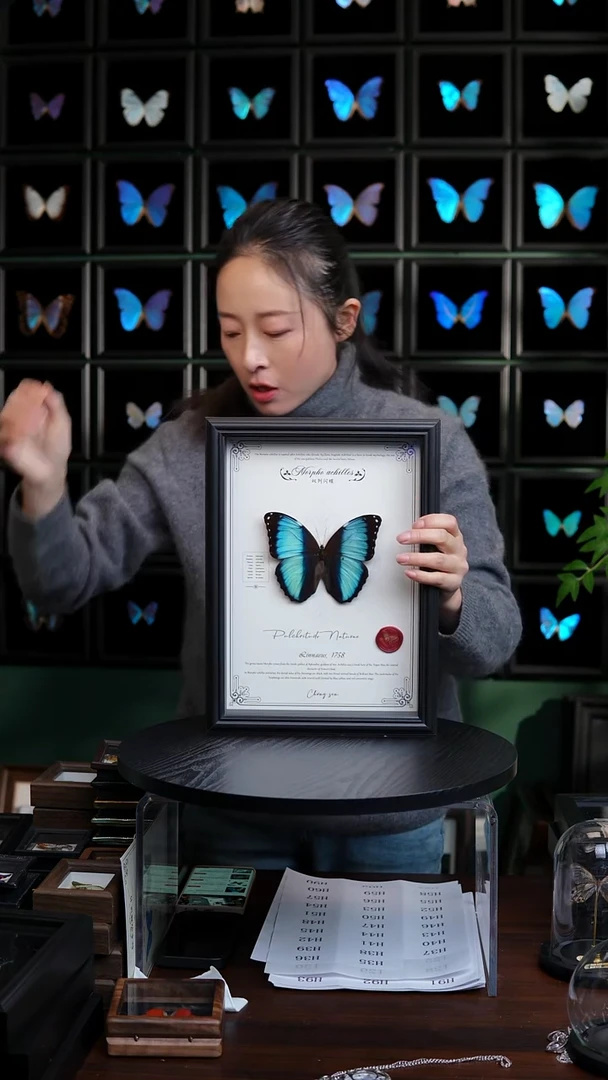 微瑕蝴蝶标本摆件一口价H35