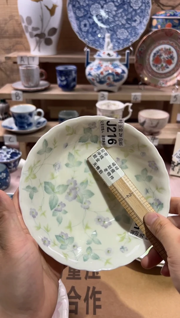 瓷片          J216