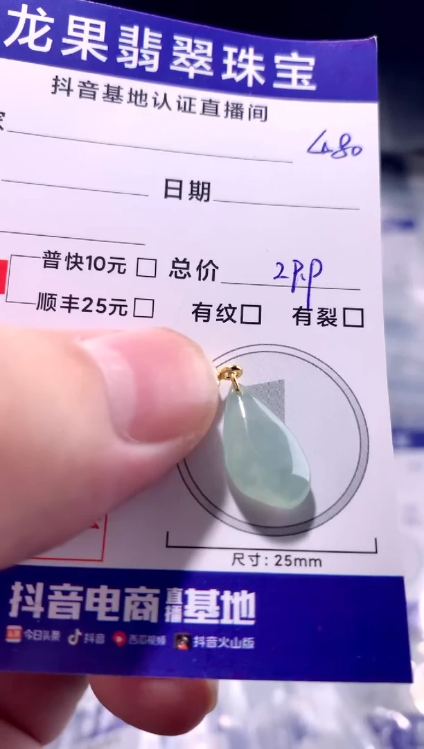 颈饰未镶嵌翡翠随形480
