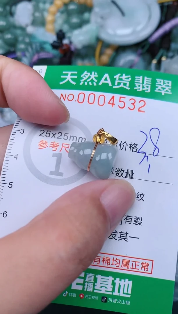 翡翠未镶嵌颈饰.0004532