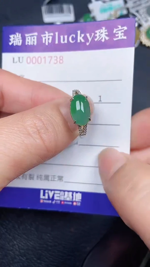 颈饰未镶嵌翡翠1738