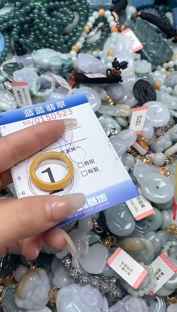 【闪购商品】翡翠颈饰未镶嵌闪购0150523多样性发其一