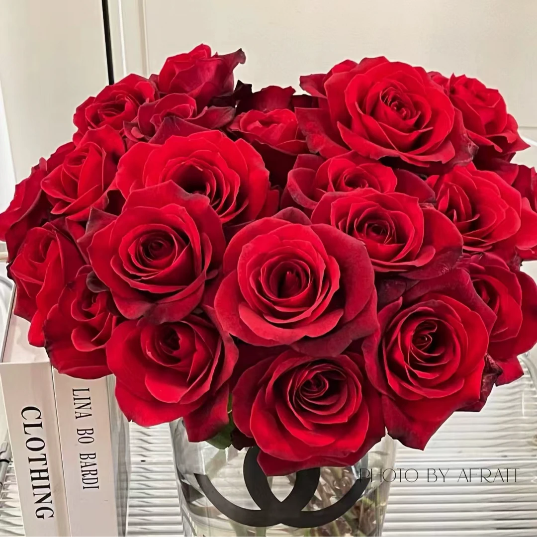 （A级 单头赤子之心）玫瑰云南基地直发生活鲜花