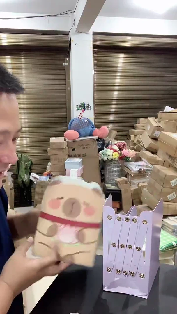 塑料福利特价铁的书立（不分色）
