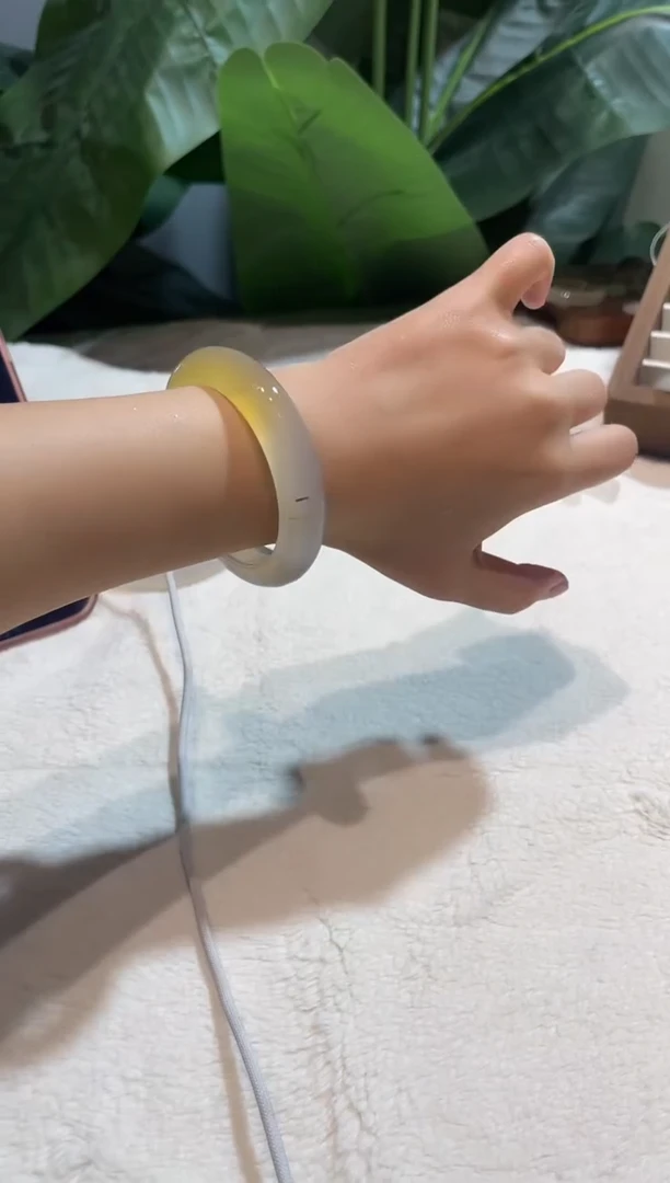 手镯玛瑙/玉髓未镶嵌54.3鉴赏期48小时