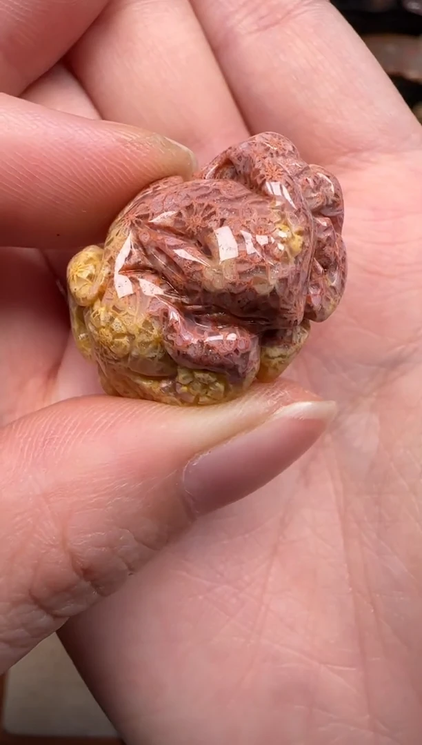 硅化珊瑚（珊瑚玉）未镶嵌颈饰721