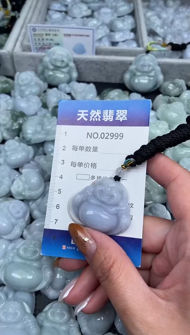 颈饰未镶嵌翡翠纯天然A货翡翠2999