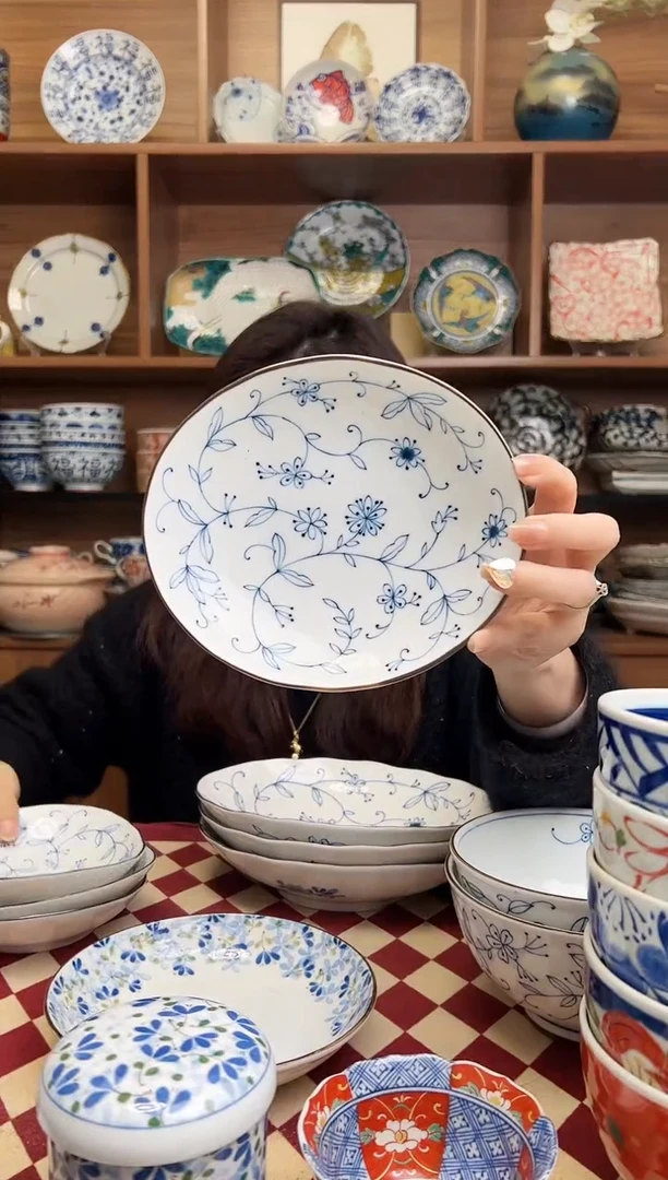【闪购商品】瓷片【微瑕】线唐草16cm椭圆深盘