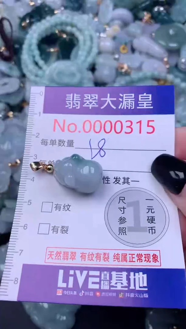 颈饰未镶嵌翡翠315