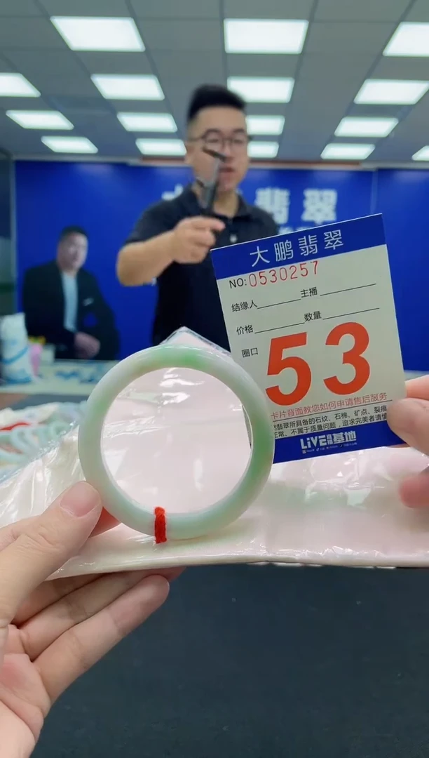 未镶嵌手镯翡翠AAAAAAAAA
