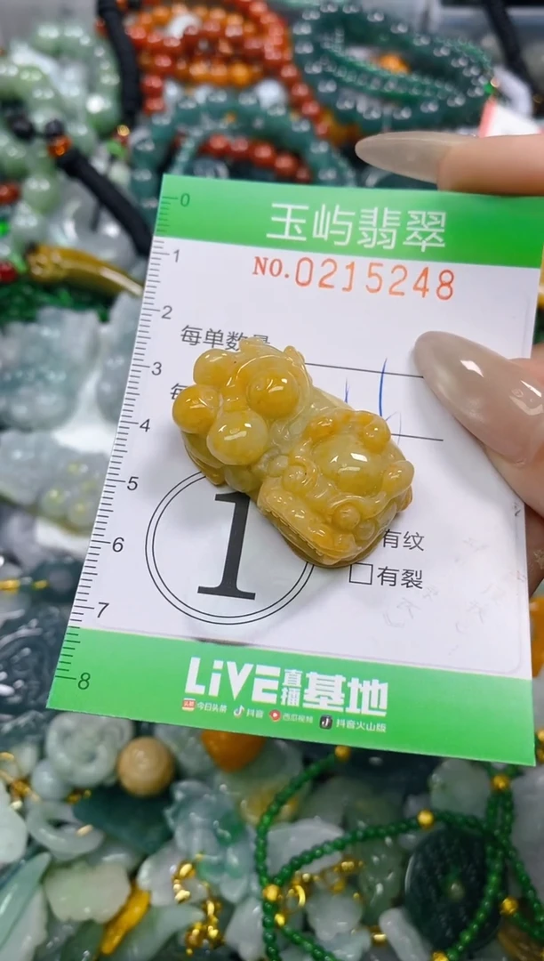 颈饰未镶嵌翡翠闪购0215248