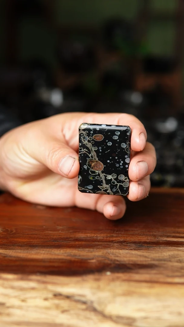 梅花玉46牌茶宠一个