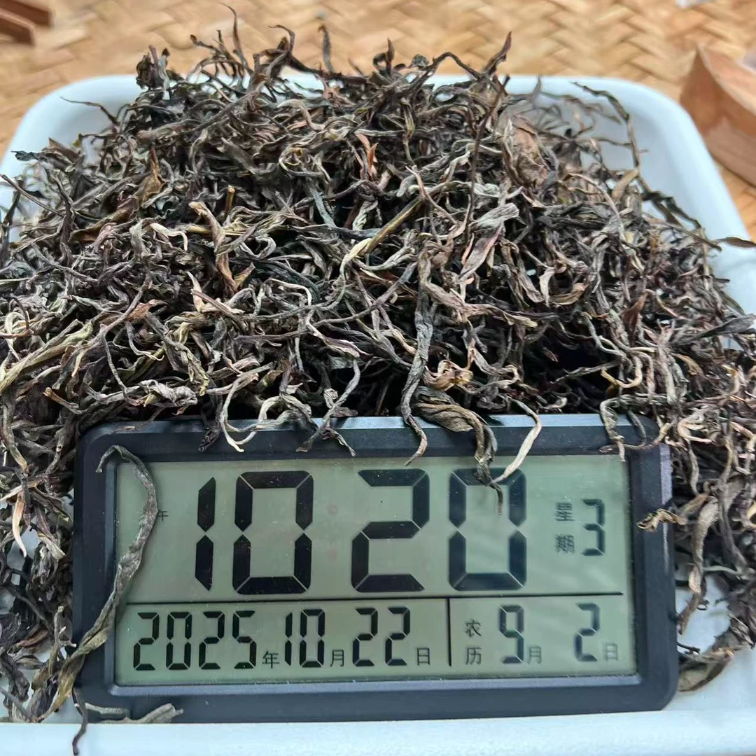 【助农】野人山古树 头春头采 2025年 普洱生散 0926-10月22日