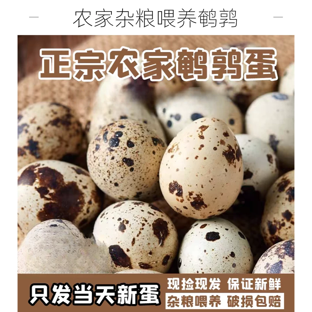 鲜鹌鹑蛋70枚只发当天新蛋杂粮喂养鹌鹑生蛋破损包赔京东包邮