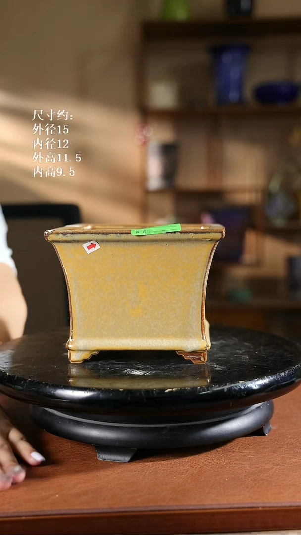 115   5.5寸飘口兰盆