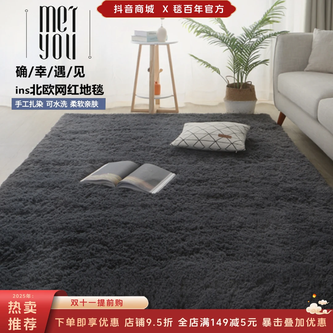 秋冬新款客厅地毯床边茶几卧室垫子加厚房间毛绒网红轻奢毛毯地垫