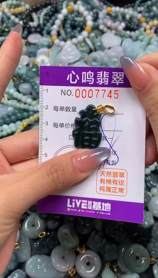 颈饰未镶嵌翡翠闪购007745