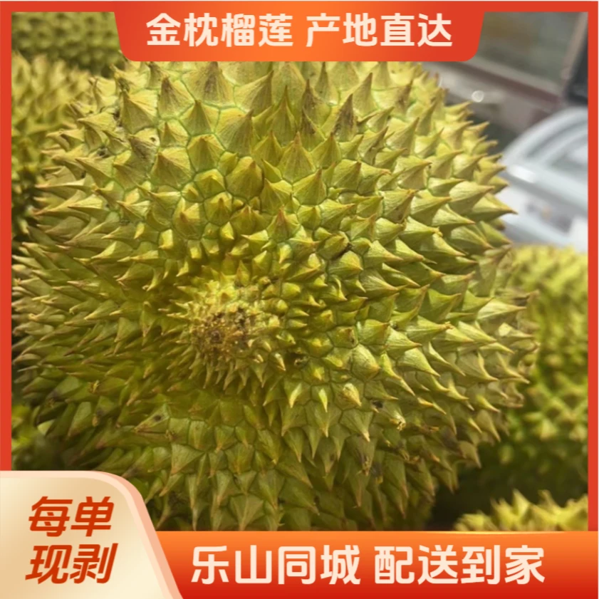 【①泰国/越南 树熟金枕榴莲】 鲜榴莲 核小 2斤以上金枕泰国