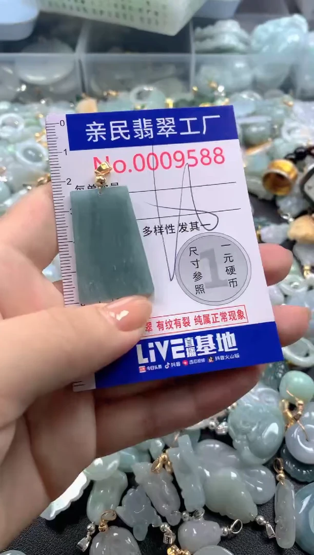 颈饰未镶嵌翡翠9588
