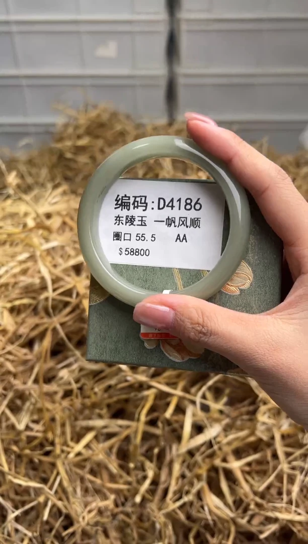未镶嵌手镯石英质玉D4186