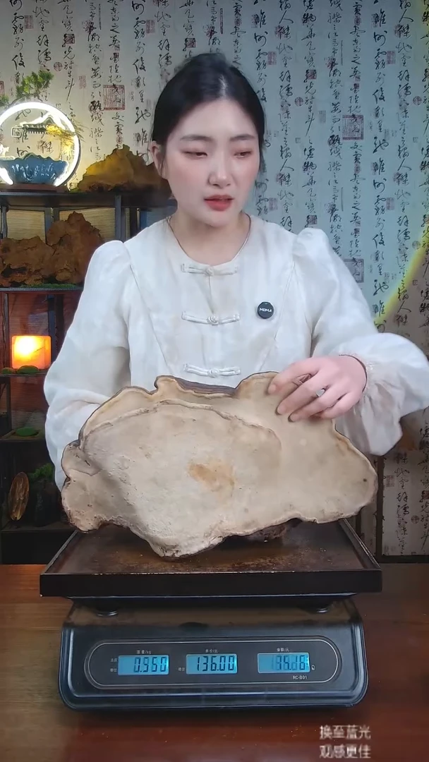 红缘拟层孔菌中国大陆【藏区 野生】红缘树舌（4.92斤）50-60年份