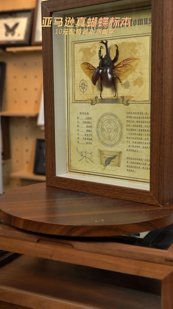 独角仙复古版A4复古框