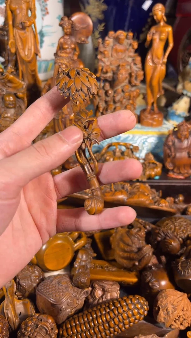 黄杨木111111111111