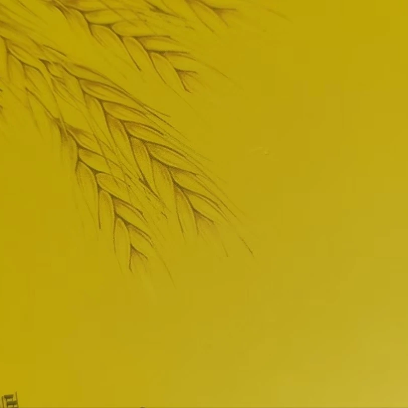 八零猴 中国邮政