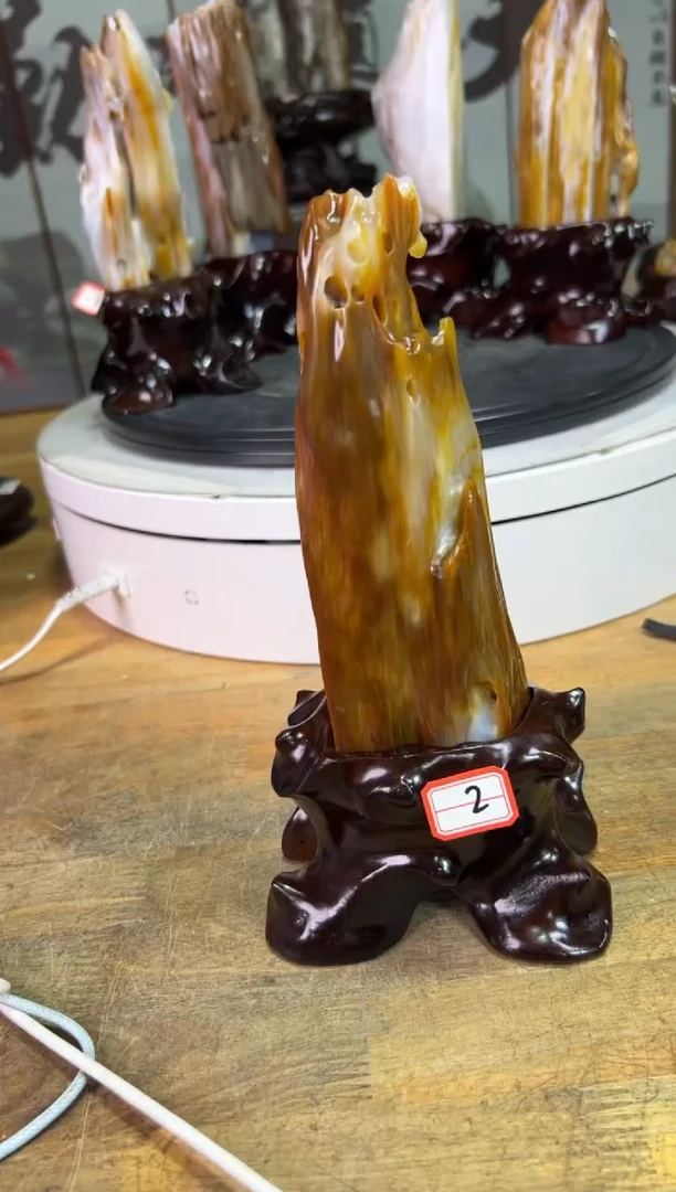 未镶嵌珠宝奇石硅化玉8