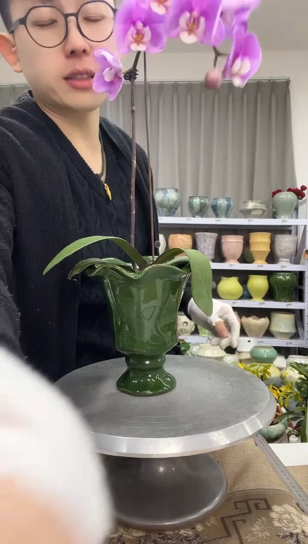 1.5花盆尺寸高：   17 口： 12