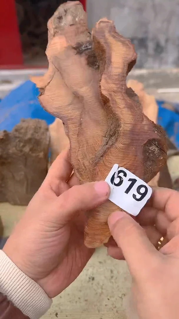 柏木（崖柏）太行陈化崖柏香片！卡1.5随机一片！（1单3片）619