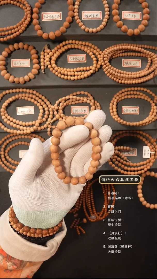 【闪购商品】五线菩提吊坠原皮手串