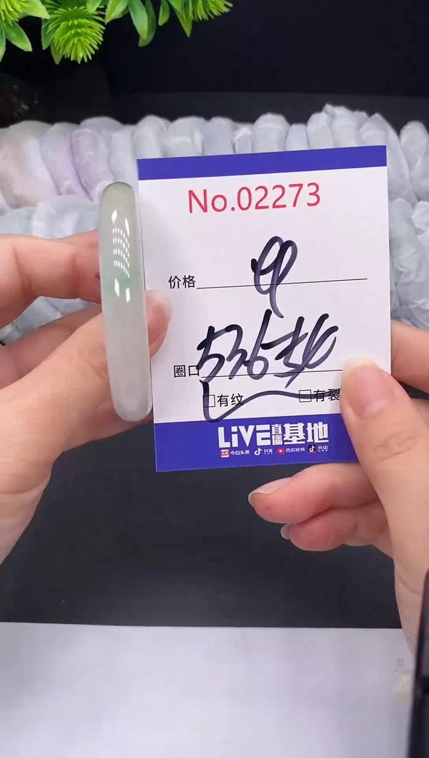 未镶嵌手镯翡翠2273