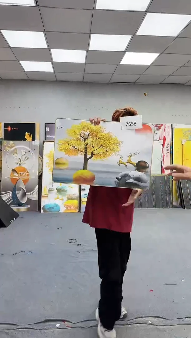 孤品微瑕黑马闪购Z658