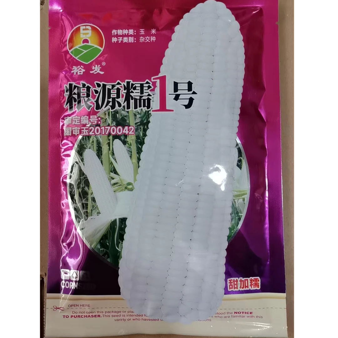 粮源糯1号 国审粘甜糯玉米