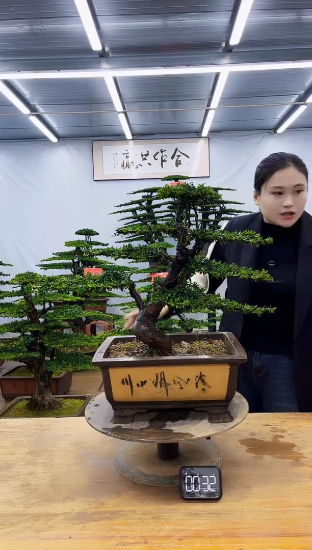 无花朵一物一拍，所见即所得