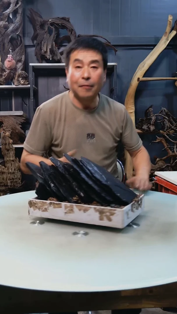 黑片9.5清香阁清香阁清香阁