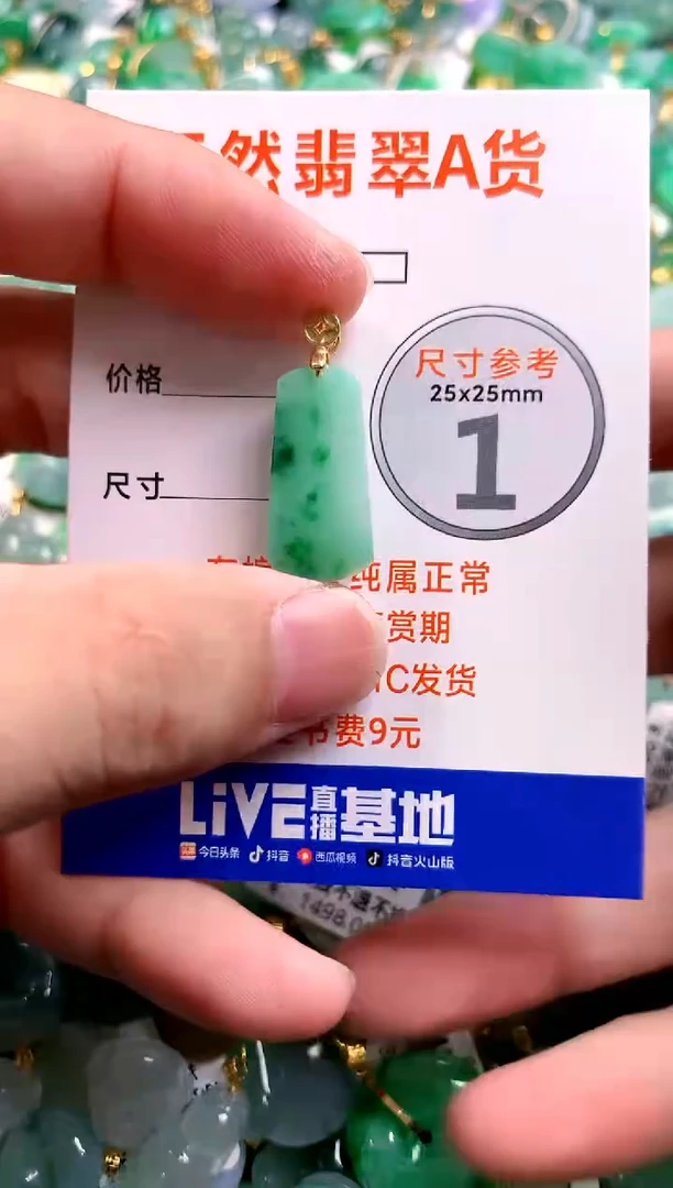 颈饰18K金镶嵌翡翠13004823