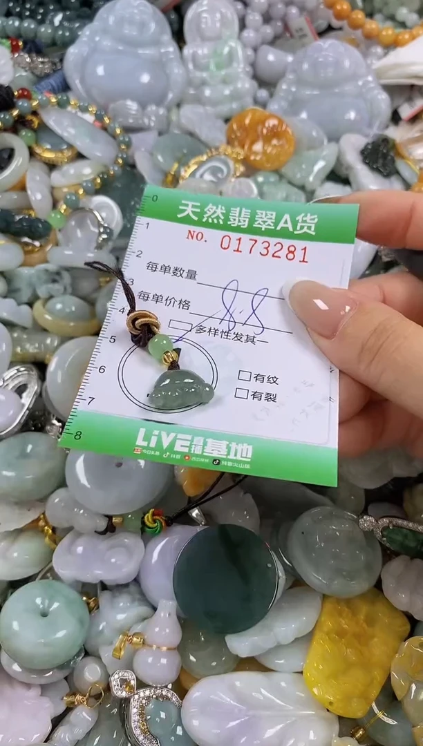 翡翠未镶嵌颈饰闪购0173281多样性发其一