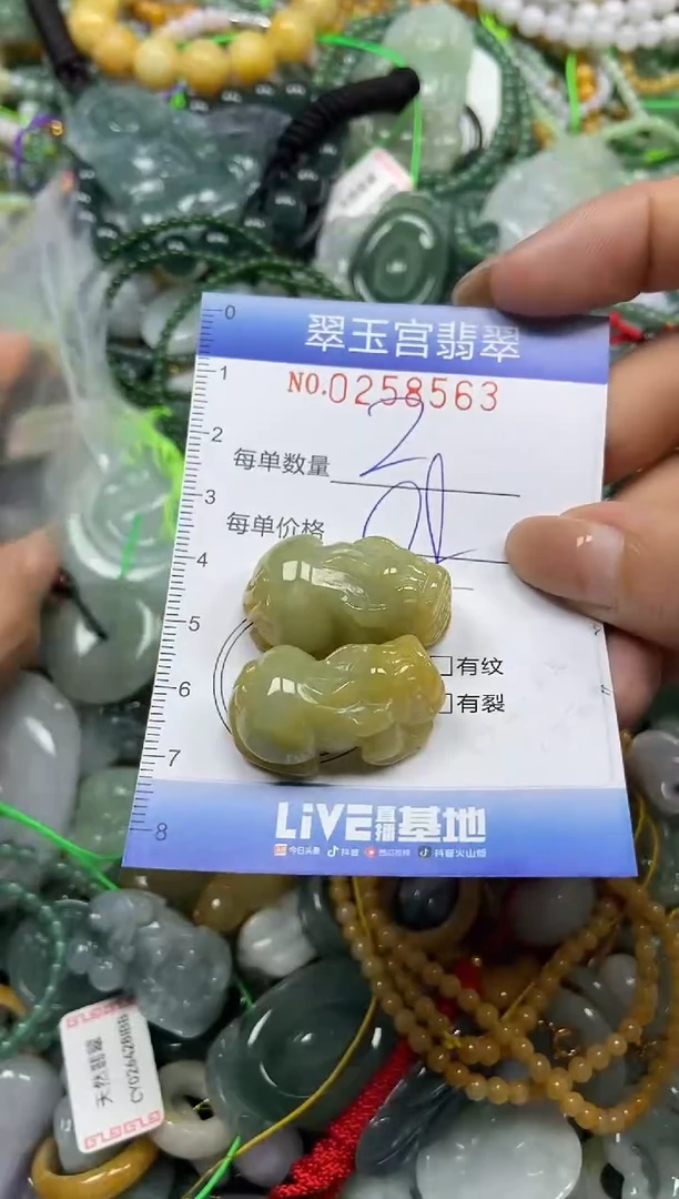 颈饰未镶嵌翡翠闪购C0258563