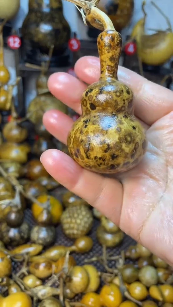 【闪购商品】葫芦葫芦葫芦葫芦葫芦