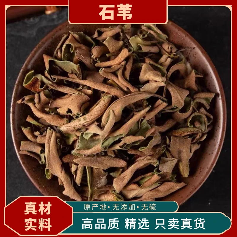 石苇野生中药材精品石韦草石韦茶石苇石皮金星草刀口草石樜石皮