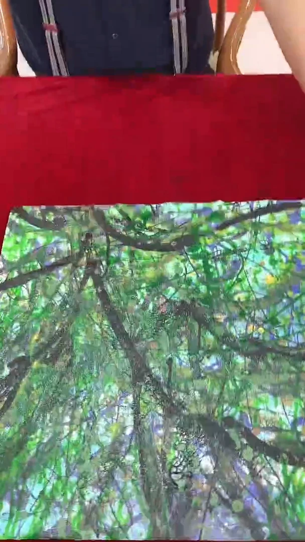 国画赵燮绘画油画作品