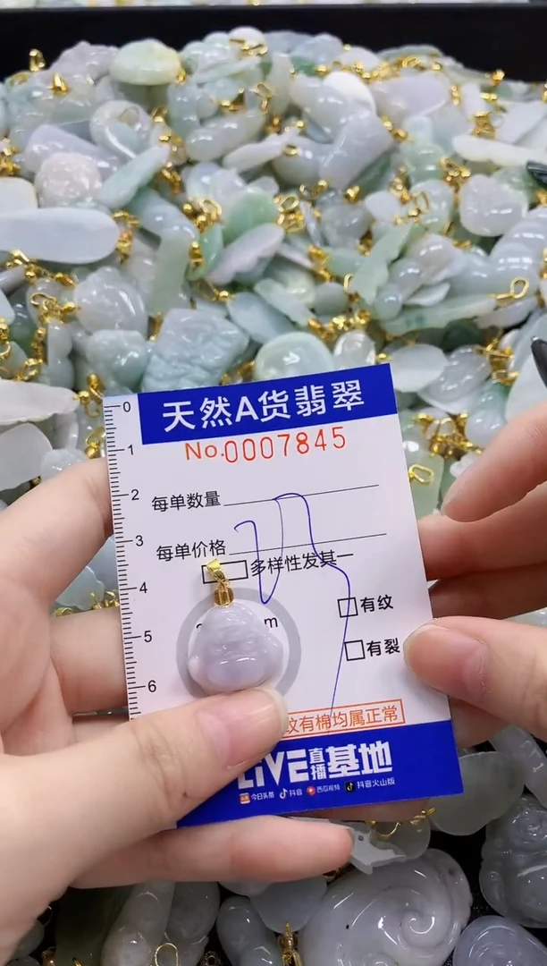 颈饰未镶嵌翡翠纯天然a货翡翠