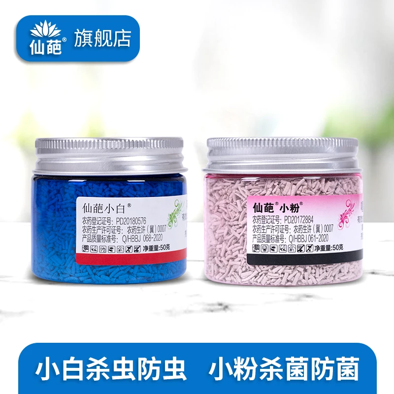仙葩小白小粉组合多肉日常养护杀虫防病持久常备家用颗粒