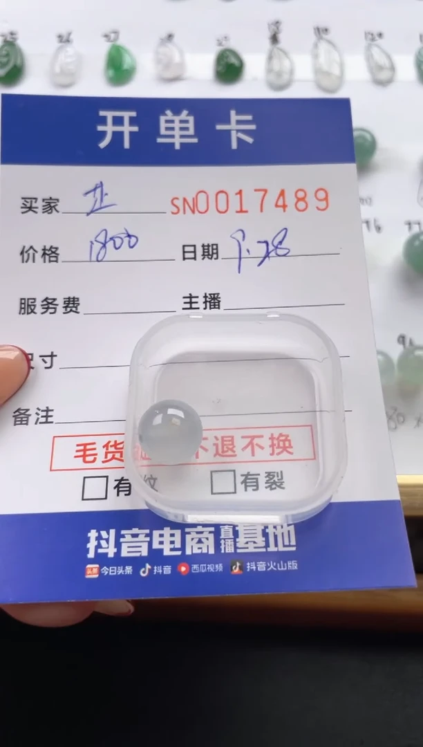 颈饰未镶嵌翡翠芷*00017489