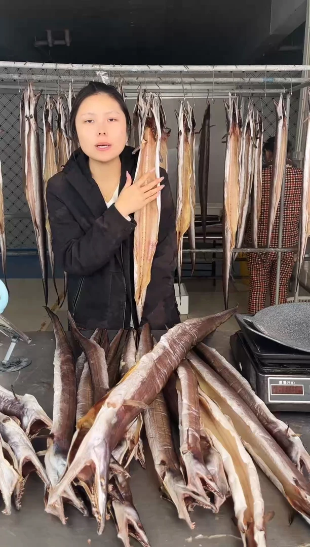 中国大陆3.2斤风鳗单托舟山内港