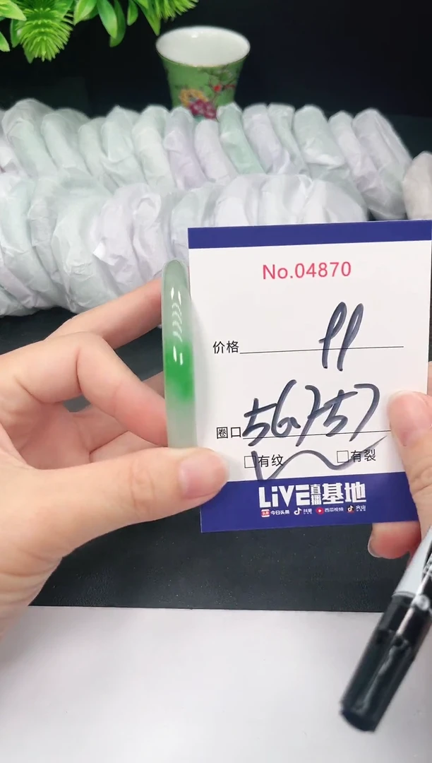 未镶嵌手镯翡翠4870