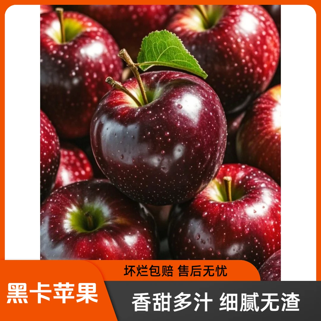 云南昭通黑卡苹果新鲜现摘果肉细腻沙甜多汁稀有苹果高端水果黑钻